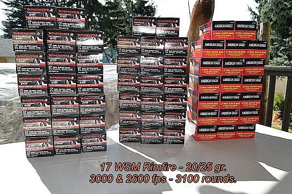 3100 rounds.webp